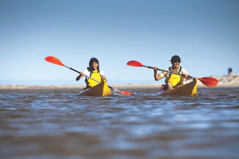 Kangaroo Island Self-Guided Kayaking On The Harriet River - Accommodation Sunshine Coast 2