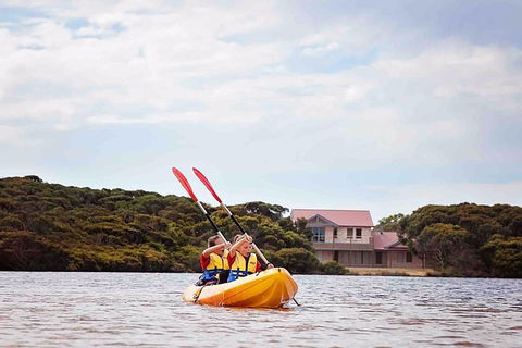 Kangaroo Island Self-Guided Kayaking On The Harriet River - Accommodation Sunshine Coast 5