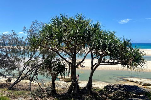 Full-Day Small Group Tour To North Stradbroke Island - Accommodation Sunshine Coast 5