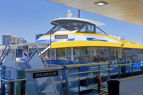 Brisbane City Essentials Walking Tour - Accommodation Sunshine Coast 3