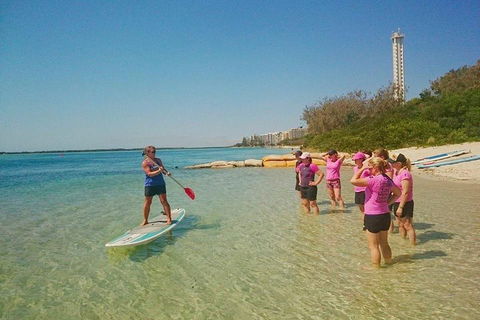 Golden Beach 1-Hour Stand-Up Paddleboard Hire On The Sunshine Coast - Accommodation Sunshine Coast 1