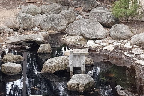 Bendigo, Echuca & The Mighty Murray - Accommodation Sunshine Coast 1