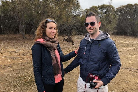 Kangaroo Island 4WD Tour - Best Of KI - Accommodation Sunshine Coast 3